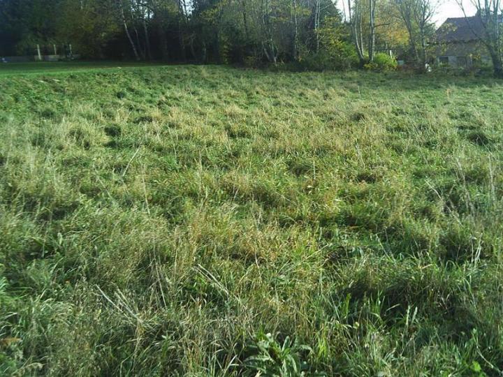 Expert en promotion immobilière  Vichy 