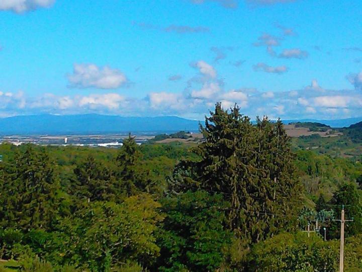 Expert en promotion immobilière  Vichy