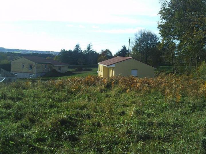 Expert en promotion immobilière  Vichy 